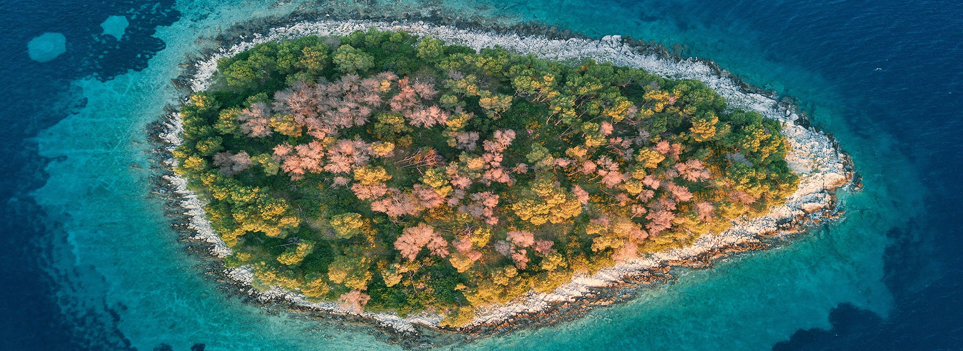 Andaman Bliss: Sun-Kissed Shores and Crystal Waters