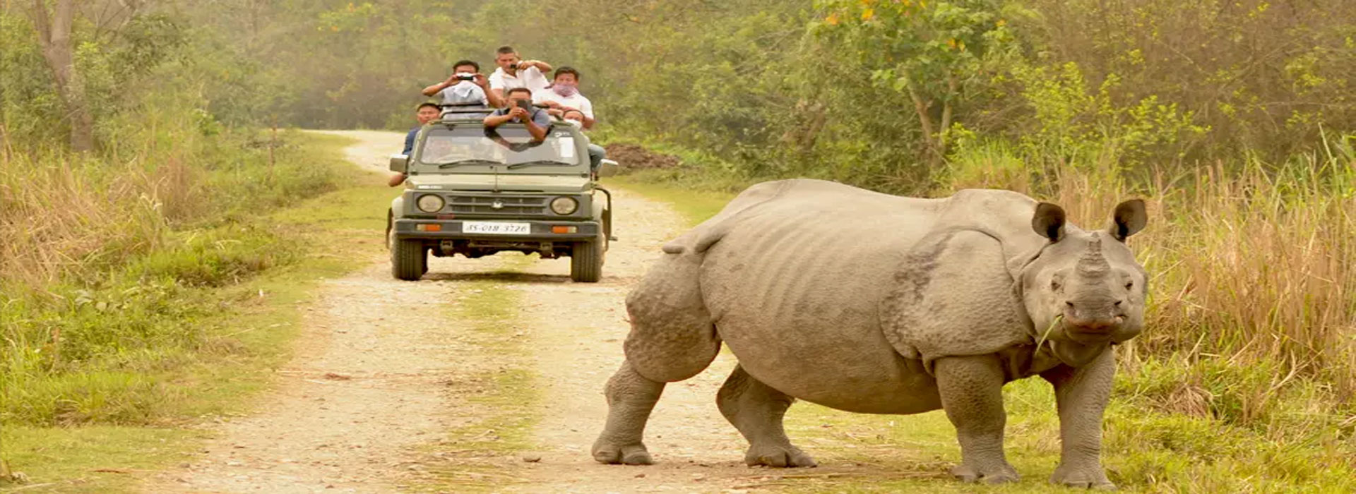 Mystic Northeast Escape: 5 Days in Guwahati, Shillong & Kaziranga Adventure